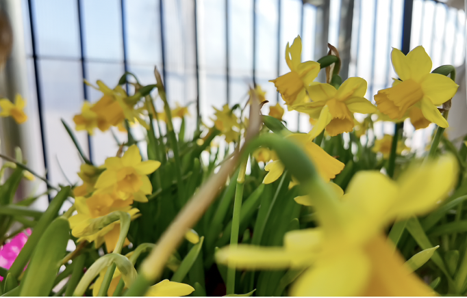 Screenshot 2026-03-25 at 8.41.23 PM.png