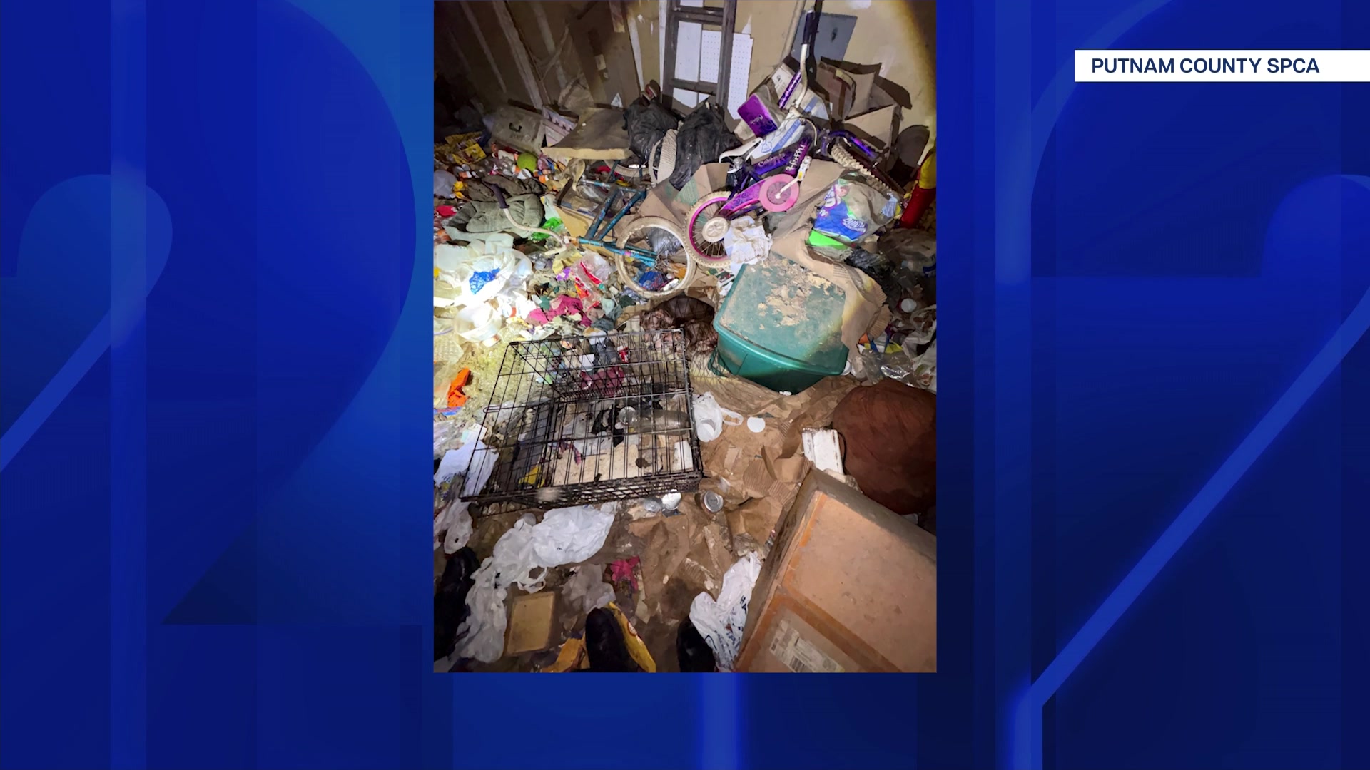 328wcanimalneglect_2026-03-28-07-14-32