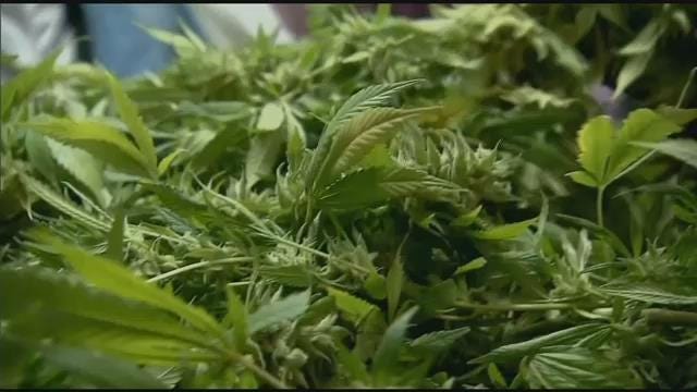 Article 49881 Thumbnail