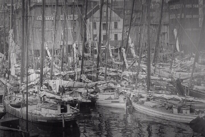 Article 114969 Thumbnail