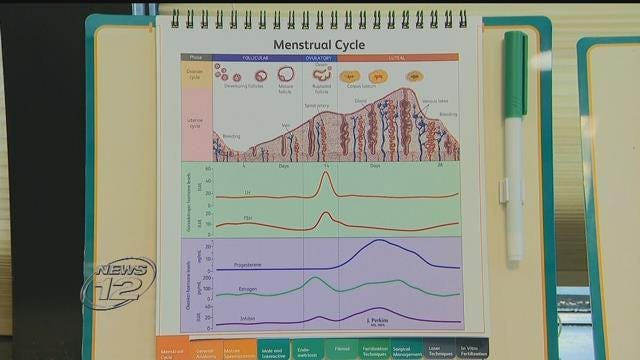 Article 46460 Thumbnail