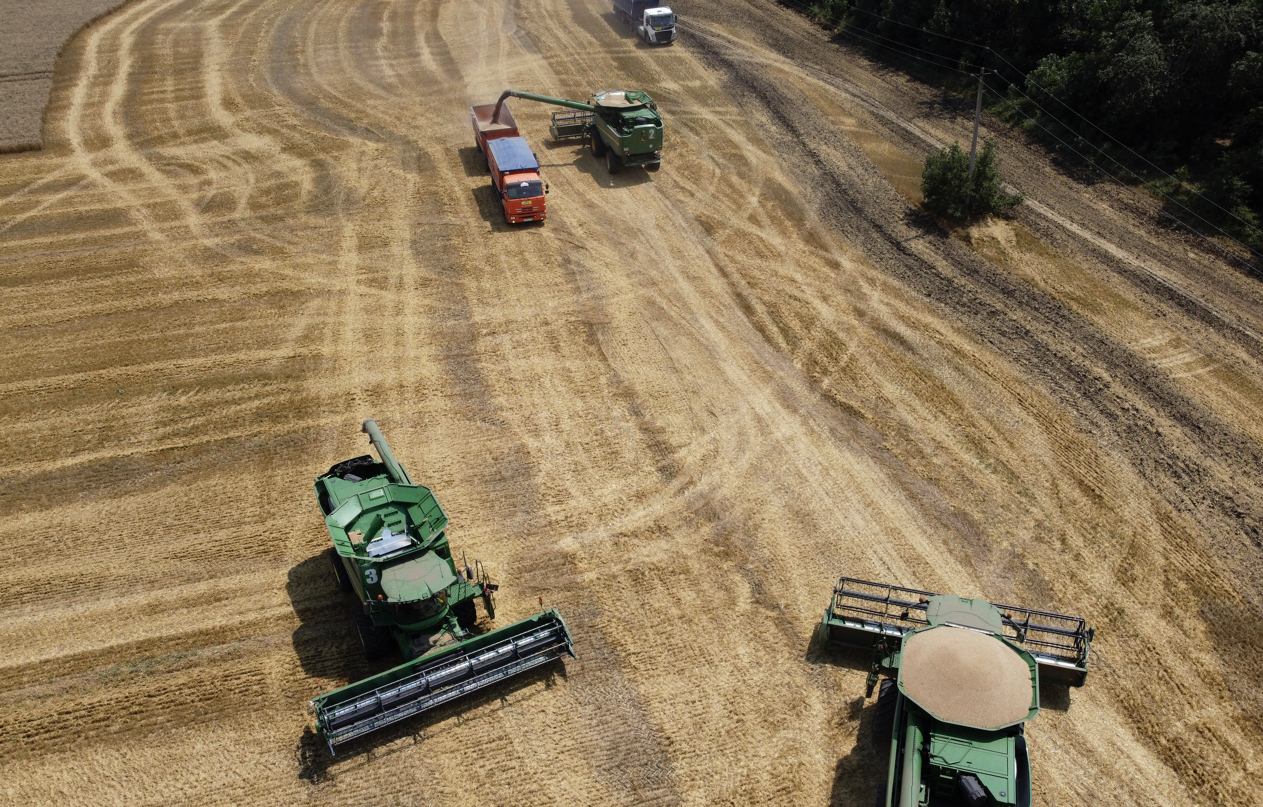 Article 287995 Hero Image