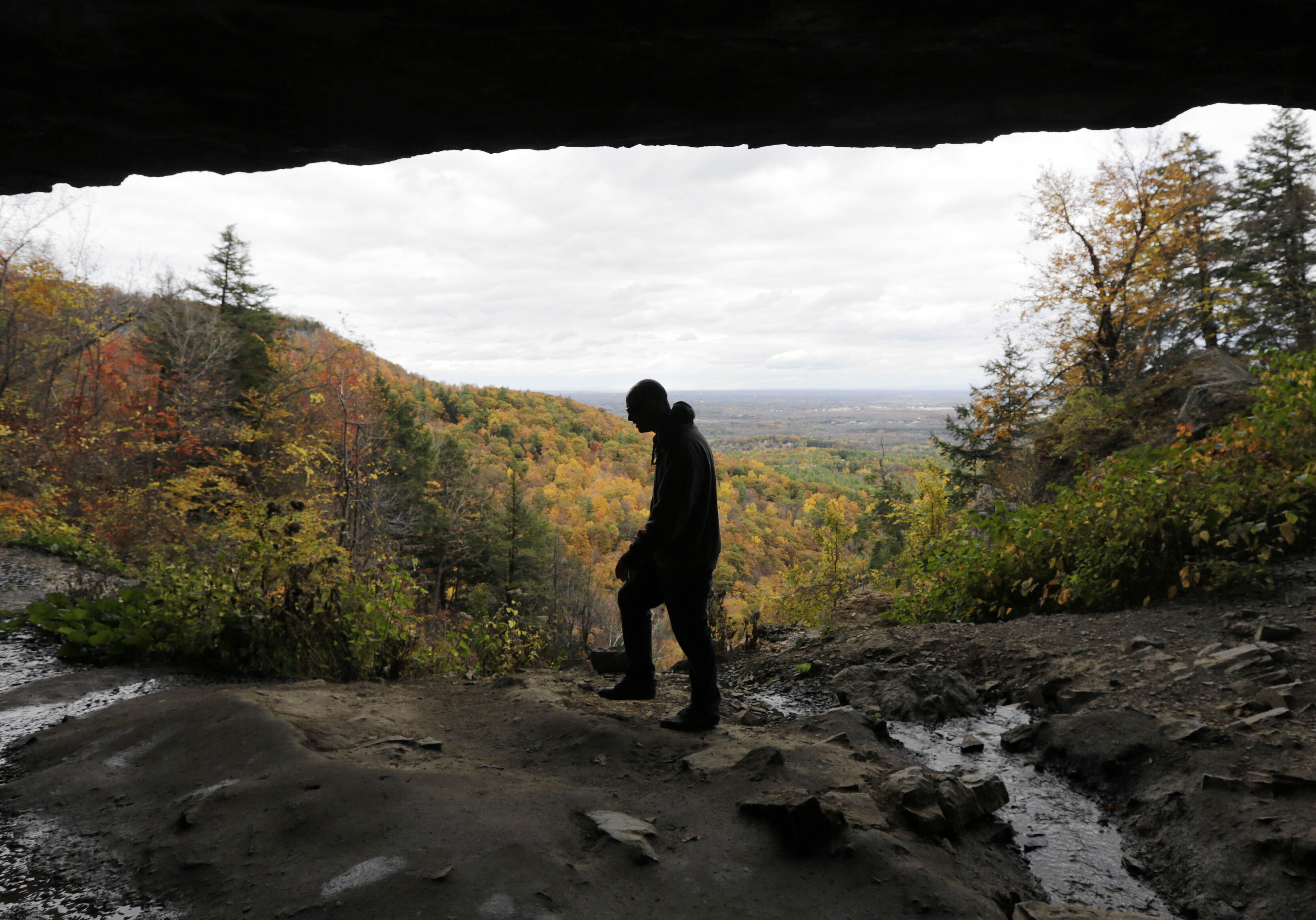 Article 266094 Thumbnail