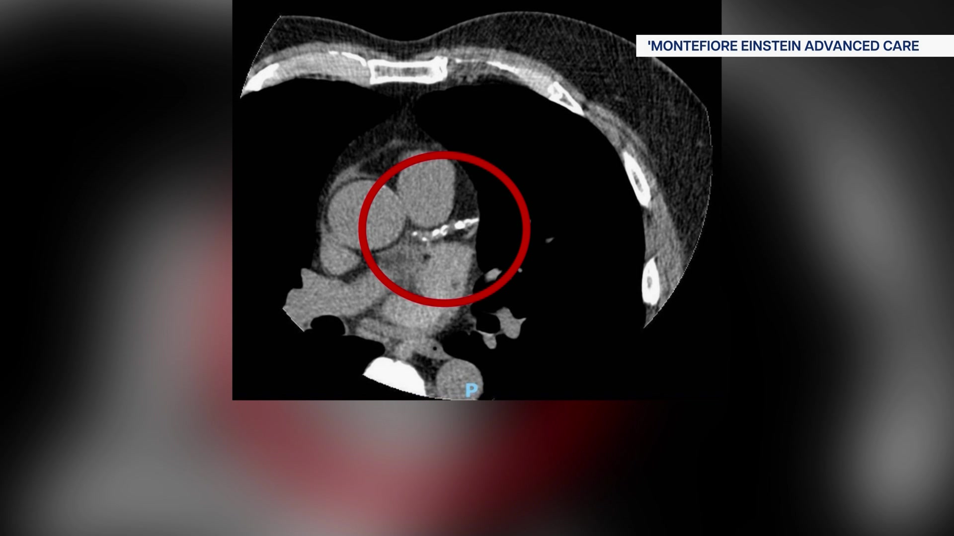 472026WCdocs12_2026-04-07-13-12-58