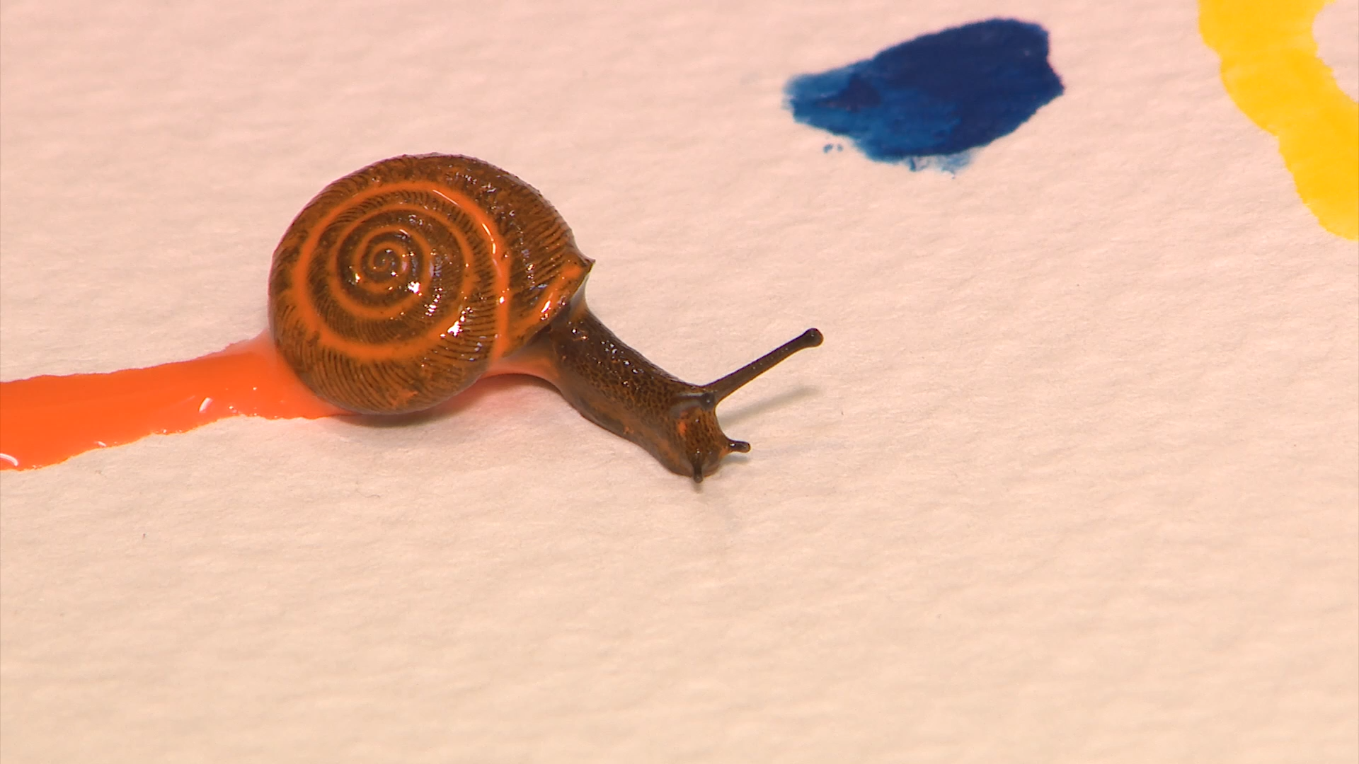 f68ba78f-6fe7-413c-b45b-95f61040fea3