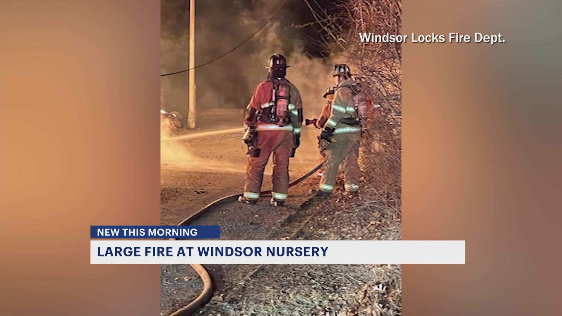 Fire destroys parts of building at Windsor tree nursery