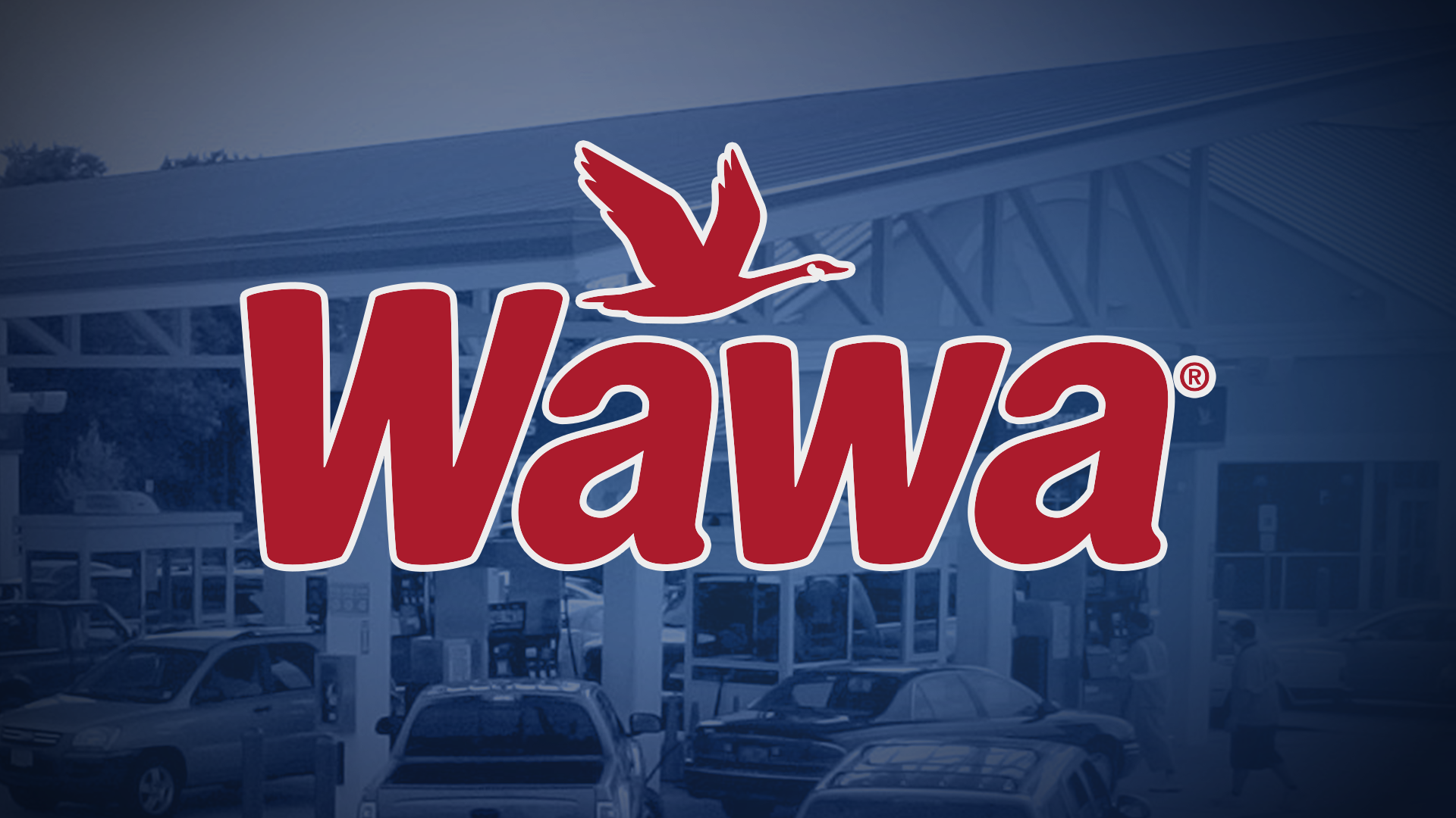 Article 247415 Hero Image