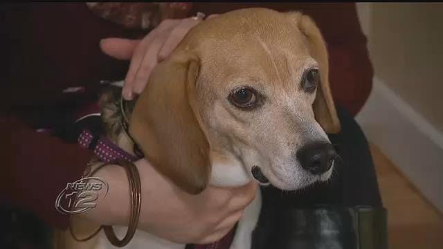 Article 50016 Thumbnail