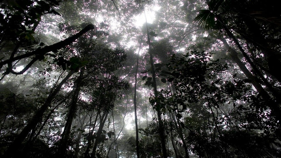 Article 4259 Thumbnail