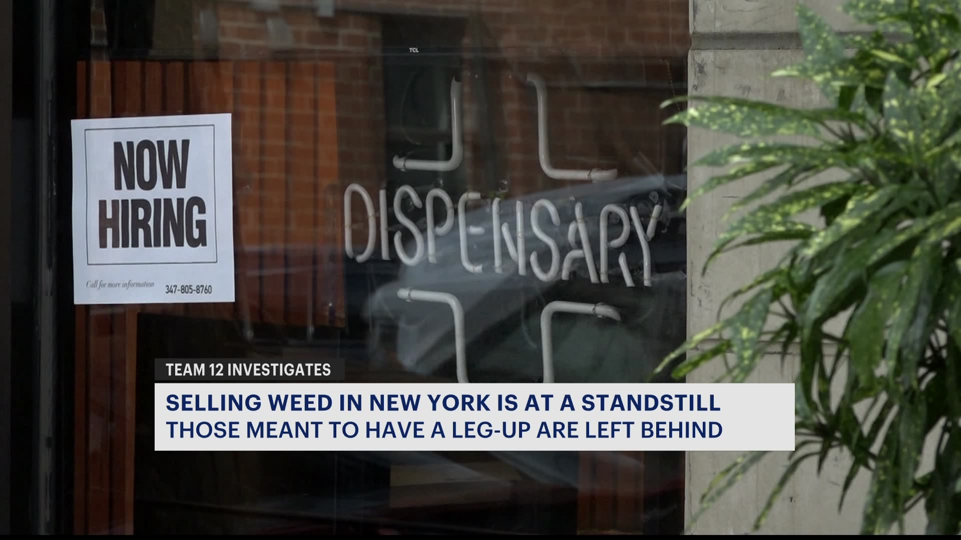 企业家谈论在纽约开设大麻销售店的困难