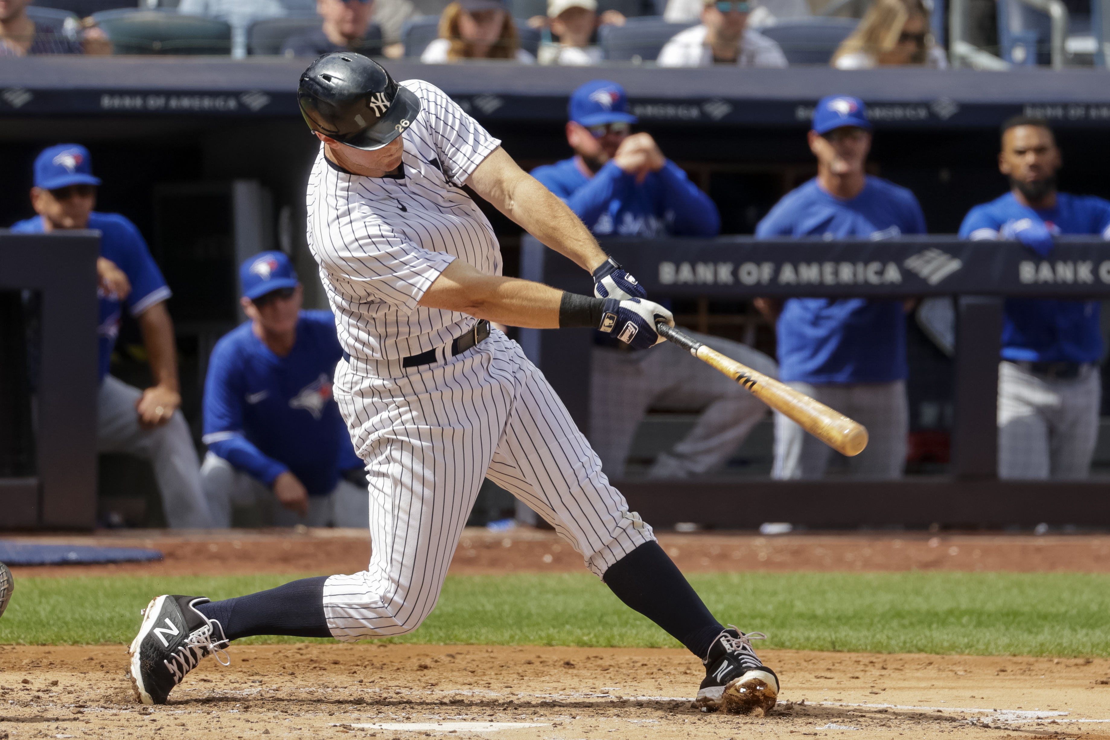 Article 305358 Hero Image