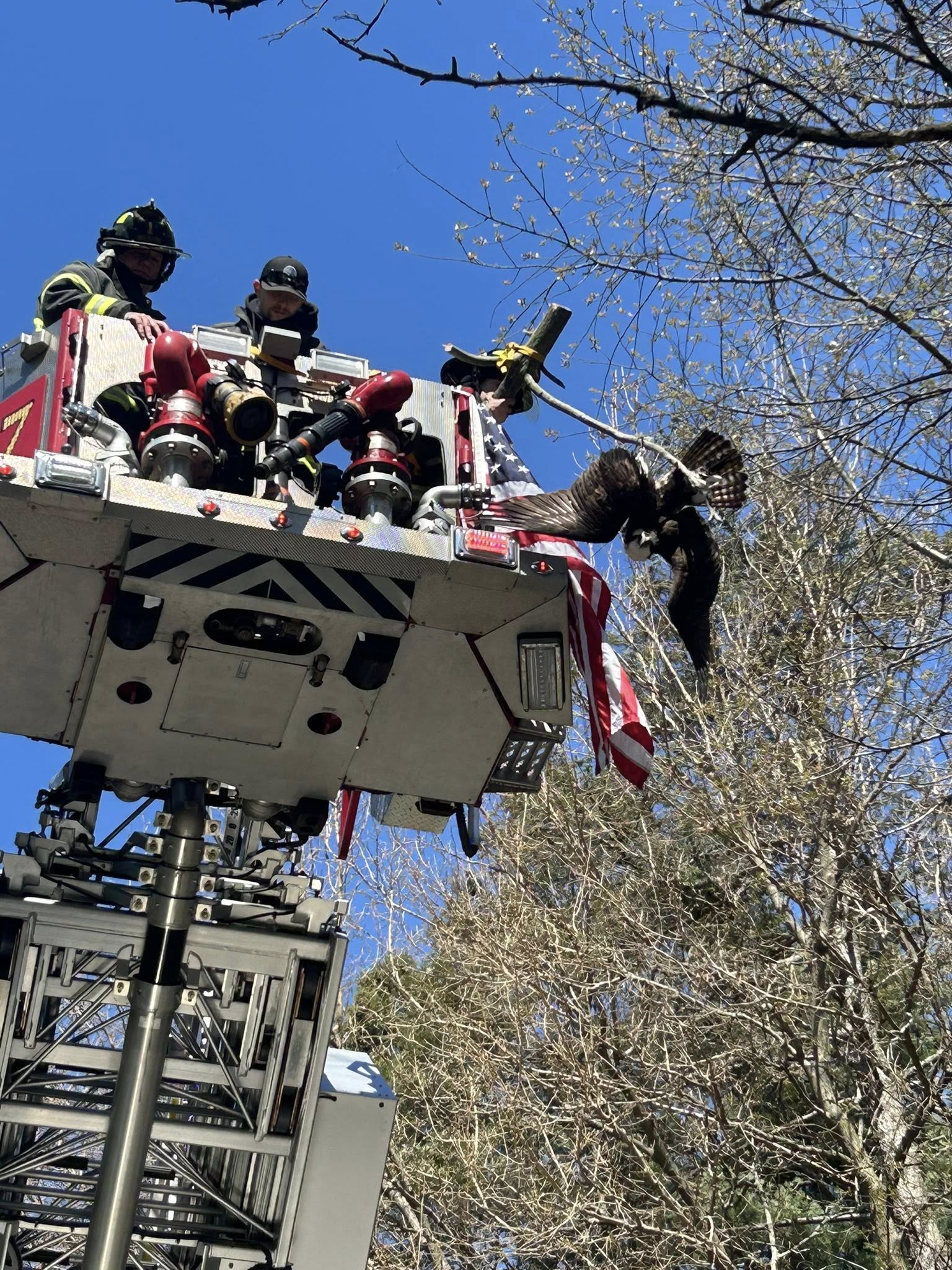 668751973 975577181478794 2753127999801039558 n