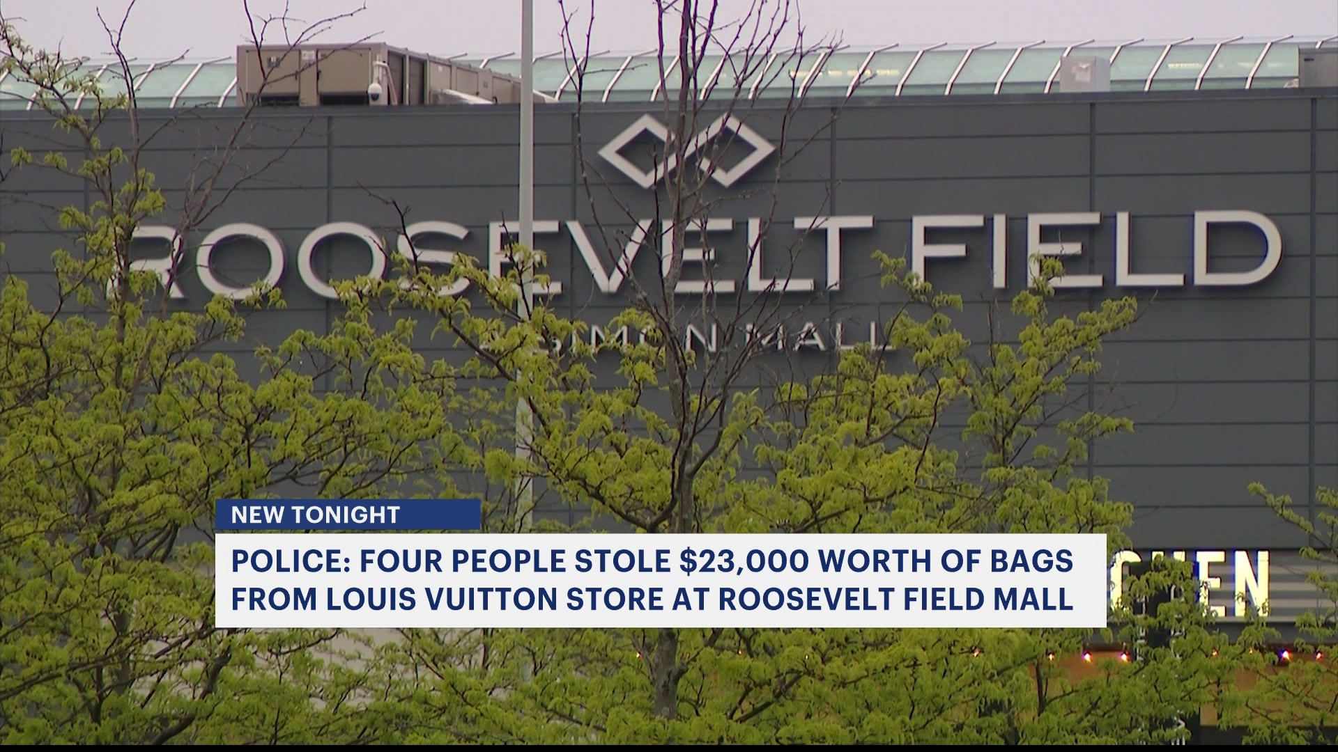 Police: $23,000 worth of bags stolen from Roosevelt Field Mall's