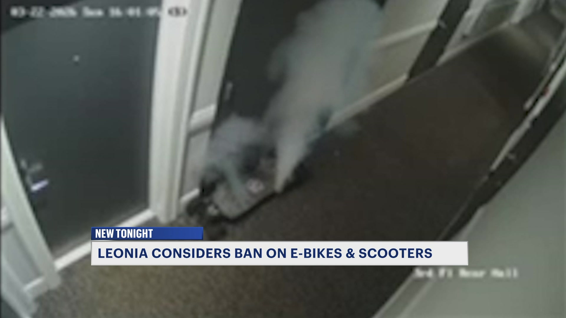 REjennileoniafire41426_2026-04-14-22-24-21