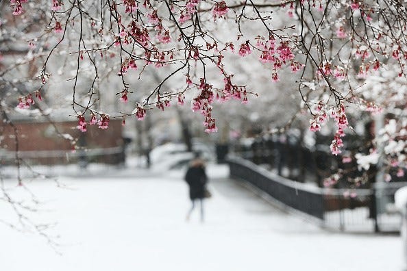 Article 122195 Thumbnail