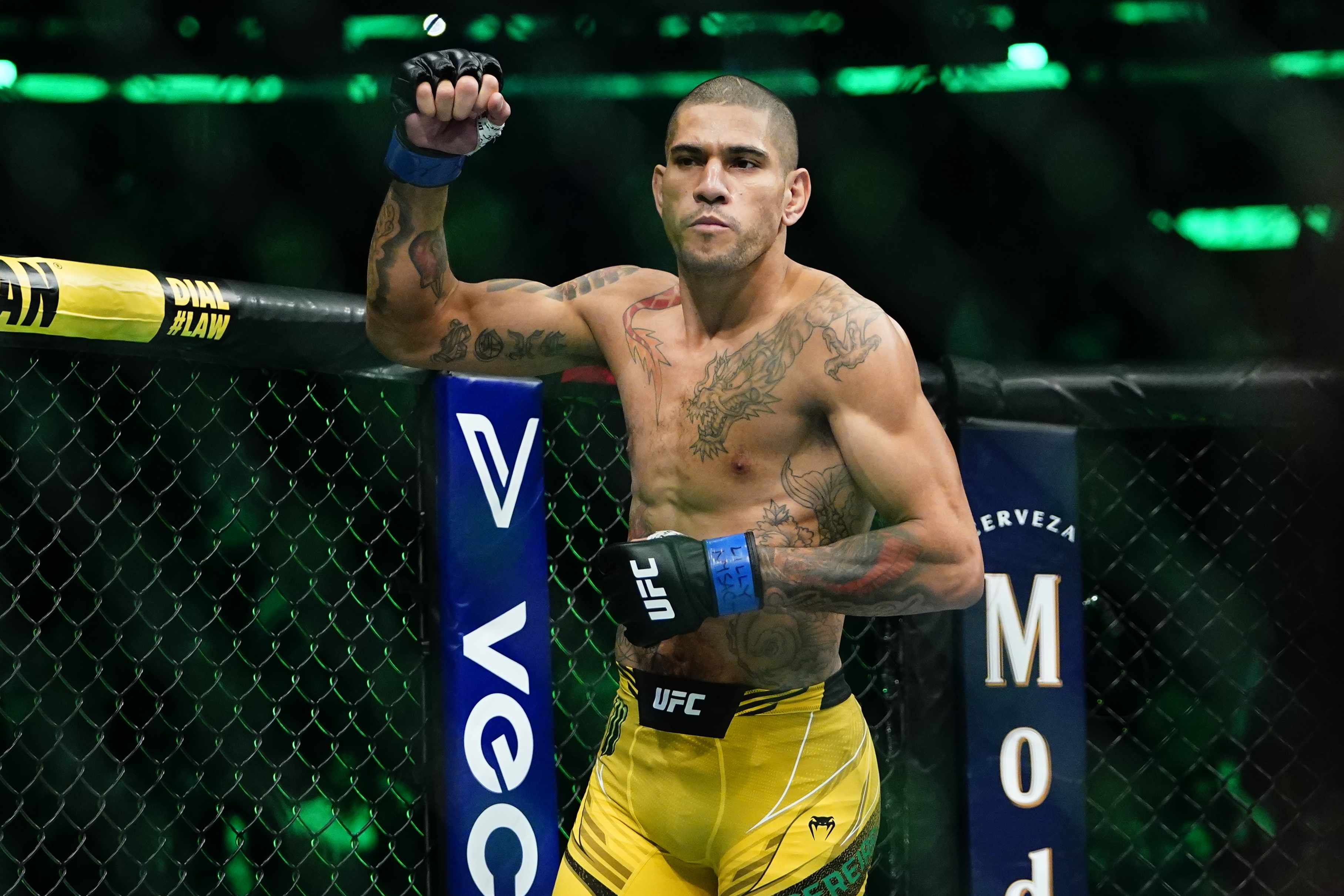 Alex Pereira, Danbury resident, wins UFC middleweight title at MSG