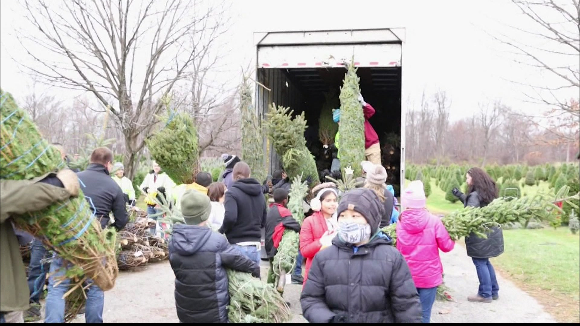 Orange County collects over 1,000 Christmas trees for military families