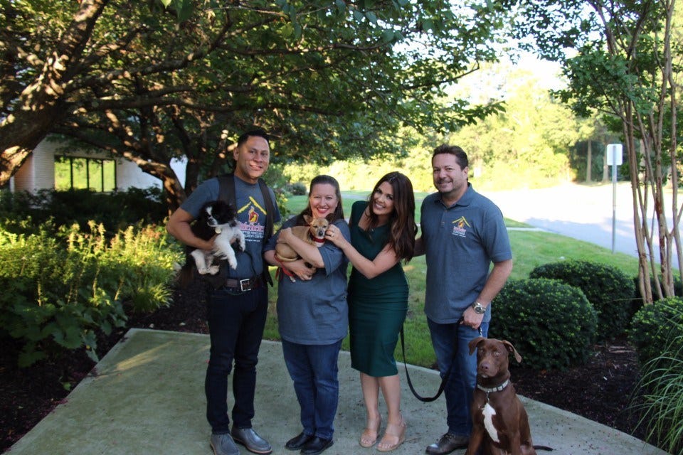 Article 130345 Thumbnail