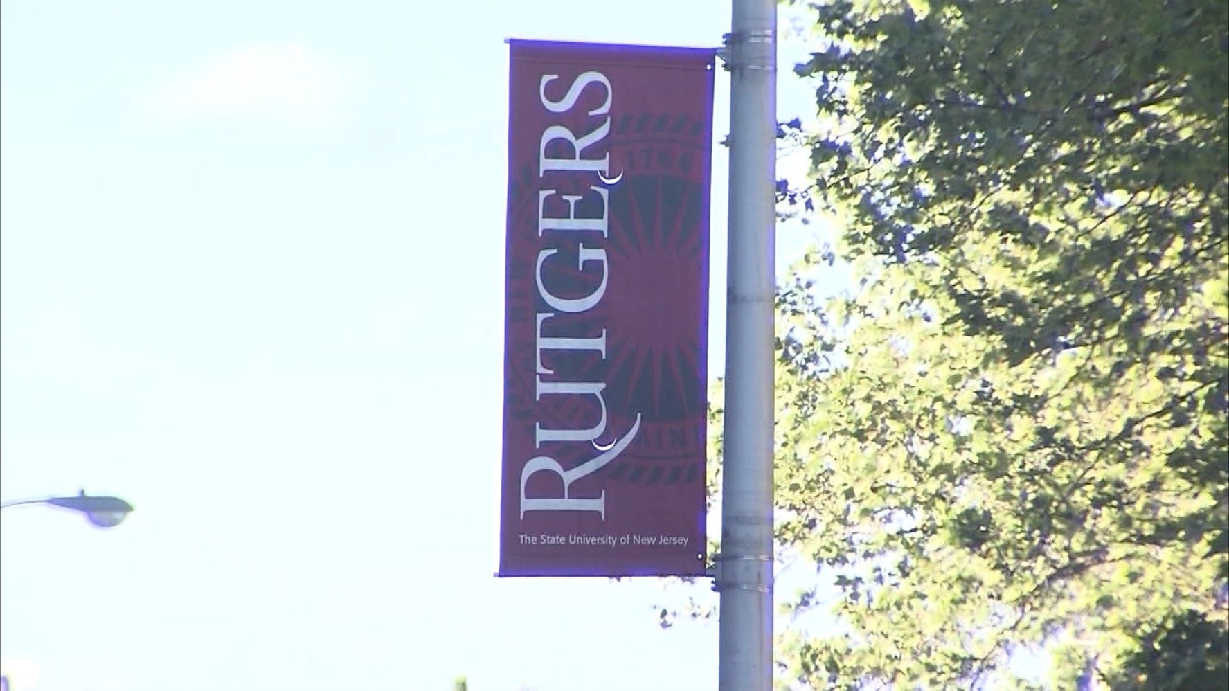 Article 107699 Thumbnail