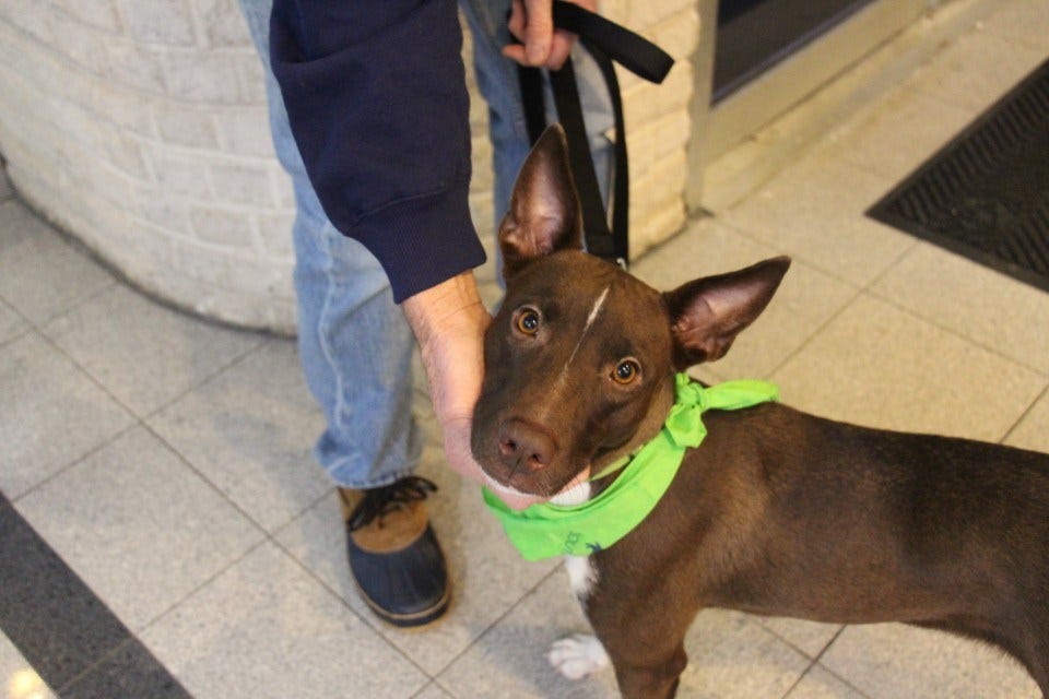 Article 146080 Thumbnail