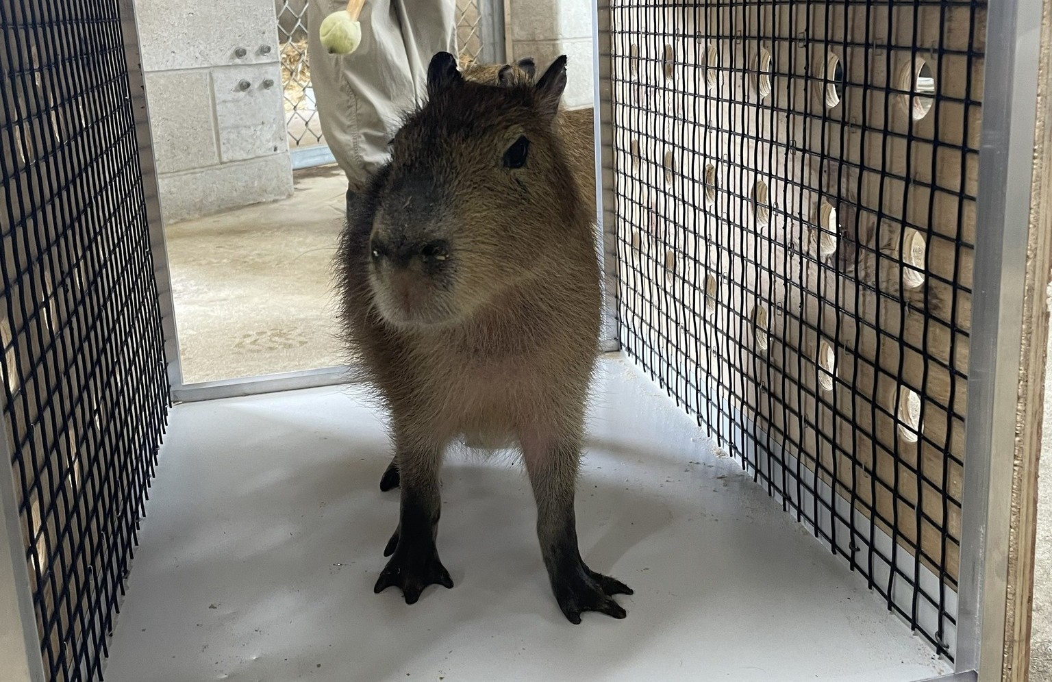 654871917 1396500669178651 1473866139506383615 n