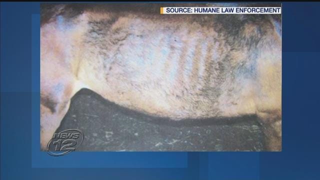 Article 128248 Thumbnail