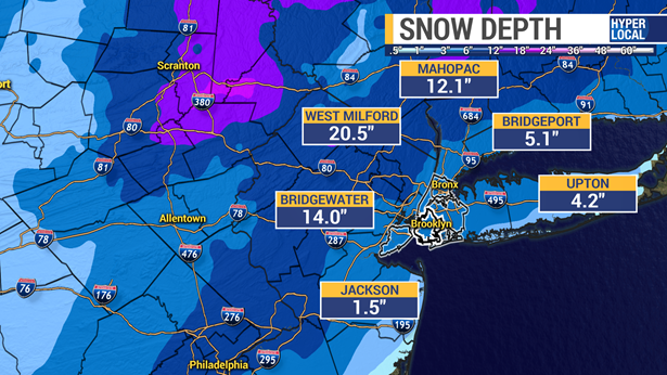 Article 118635 Thumbnail