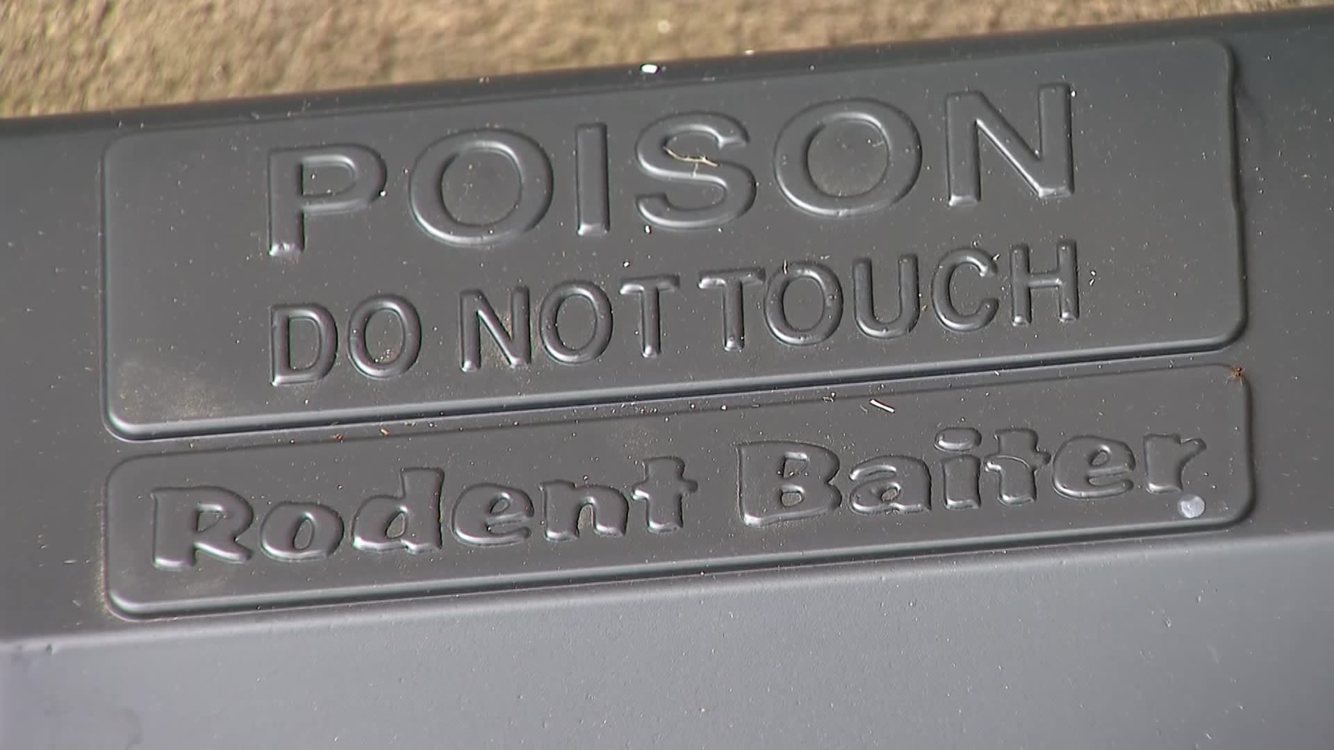 Parts of Manville have infested with rats nearly 1 year since