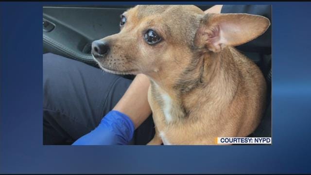 Article 43922 Thumbnail