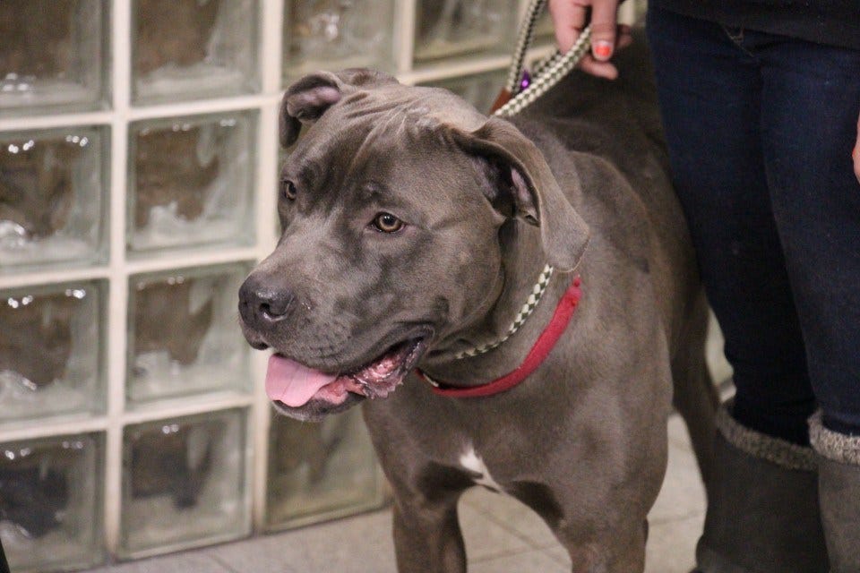 Article 120655 Thumbnail