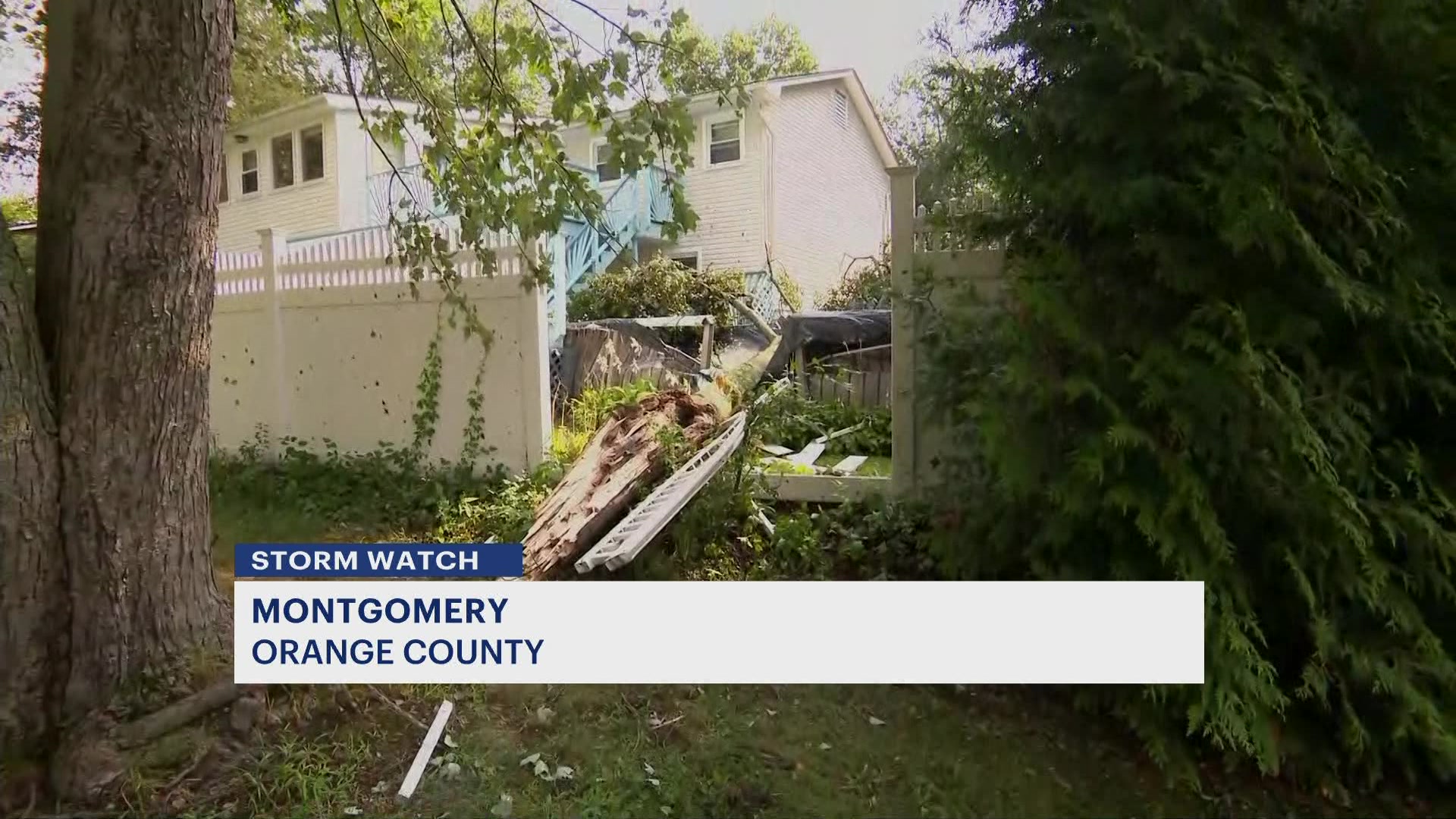 Article 7659 Hero Image