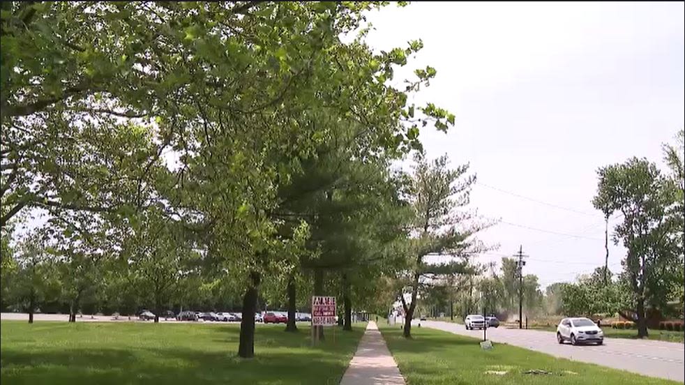 Allergy season begins early in New Jersey. Here’s how to combat it