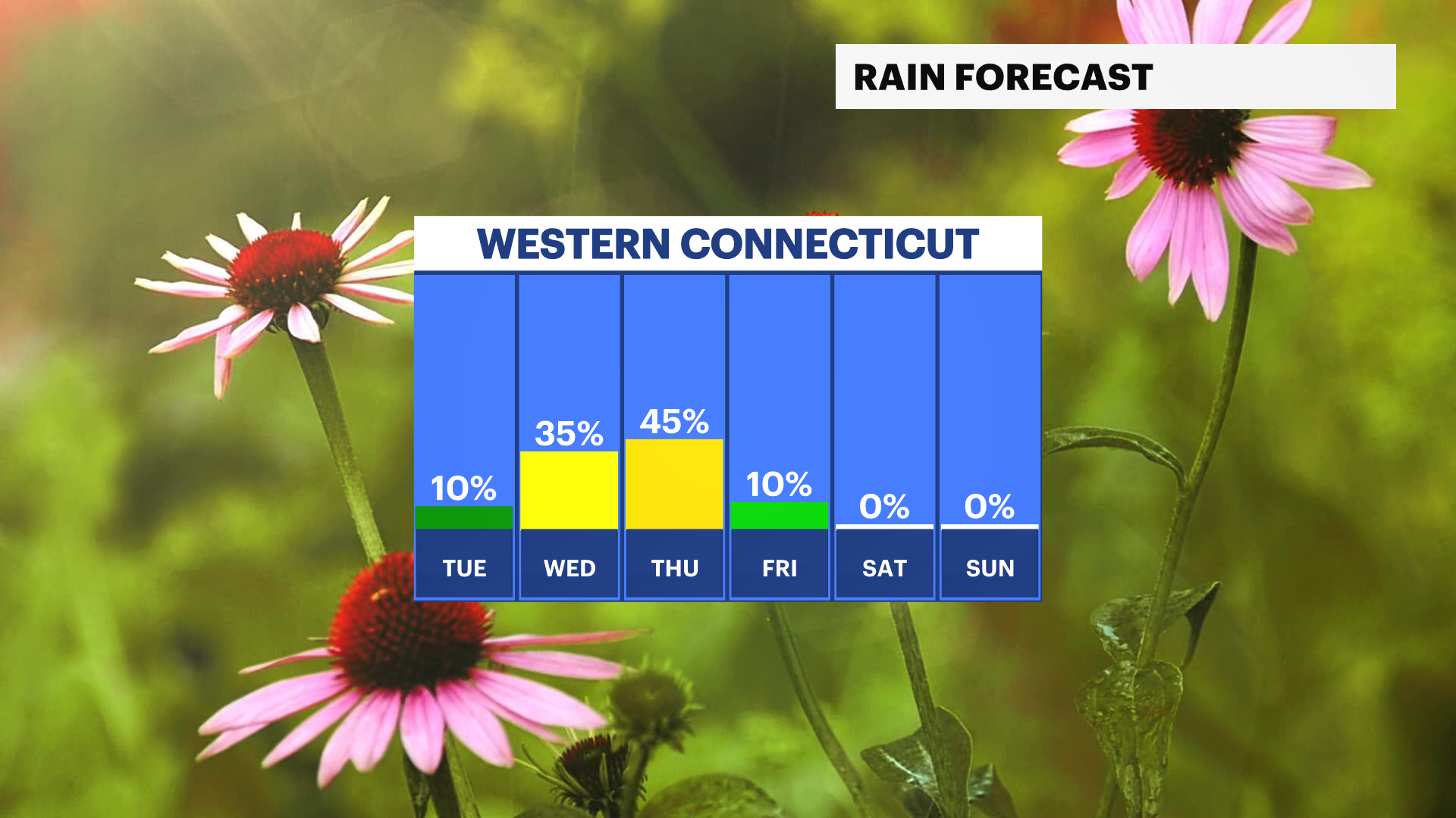 CT Mon 05272024 Daily Rain Trend.png