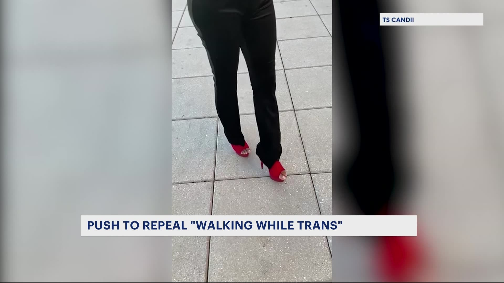 City Leaders Push To Repeal Walking While Trans Law 6854