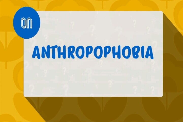 Article 146805 Thumbnail