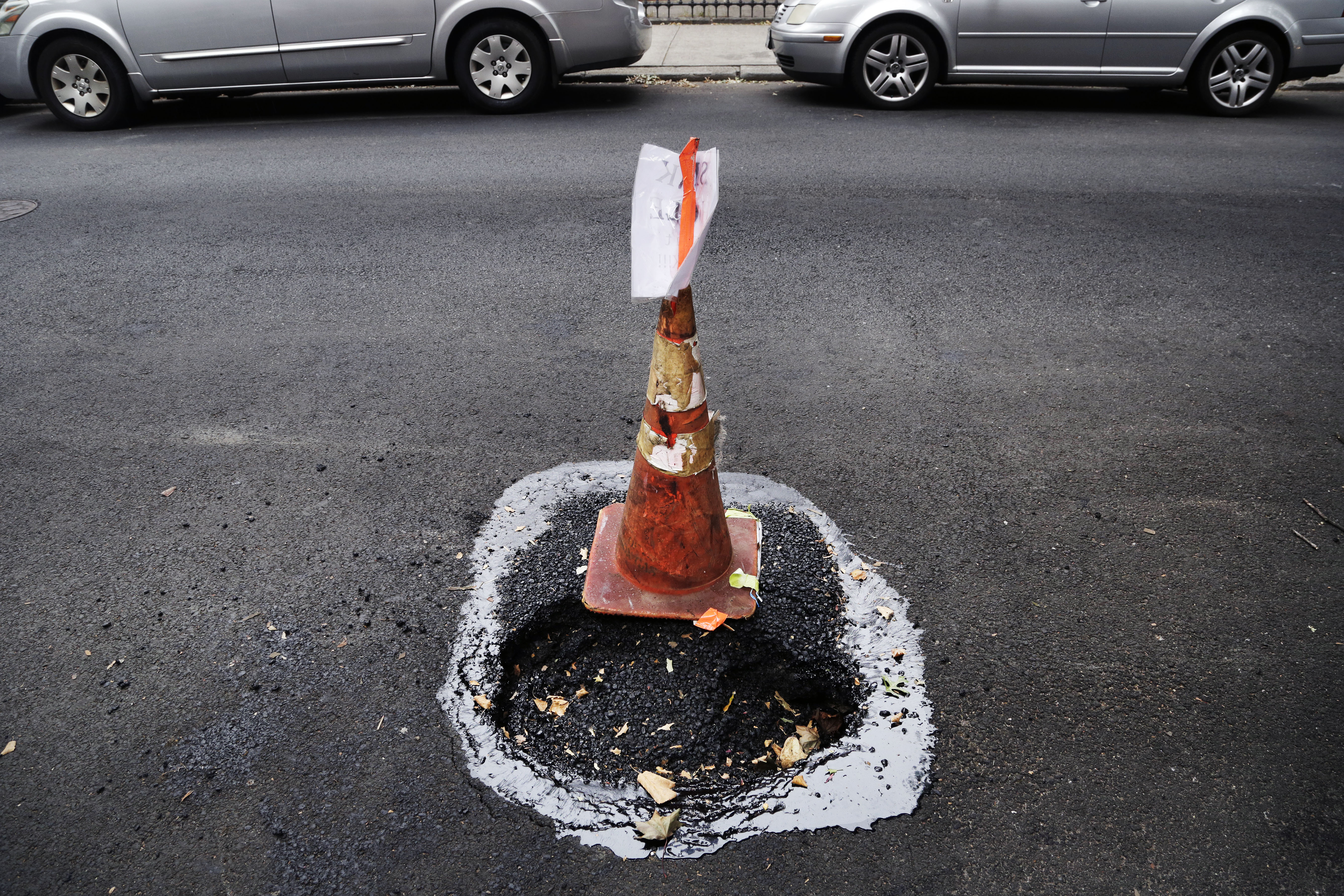 Article 255595 Hero Image