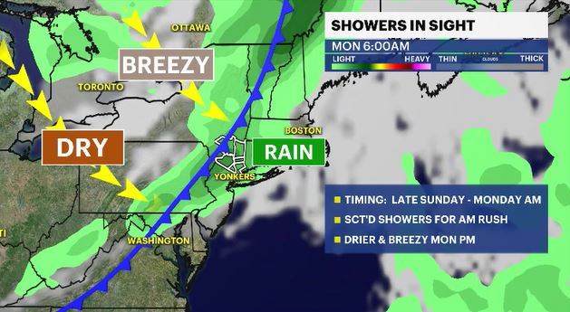 what to expect(1).JPG