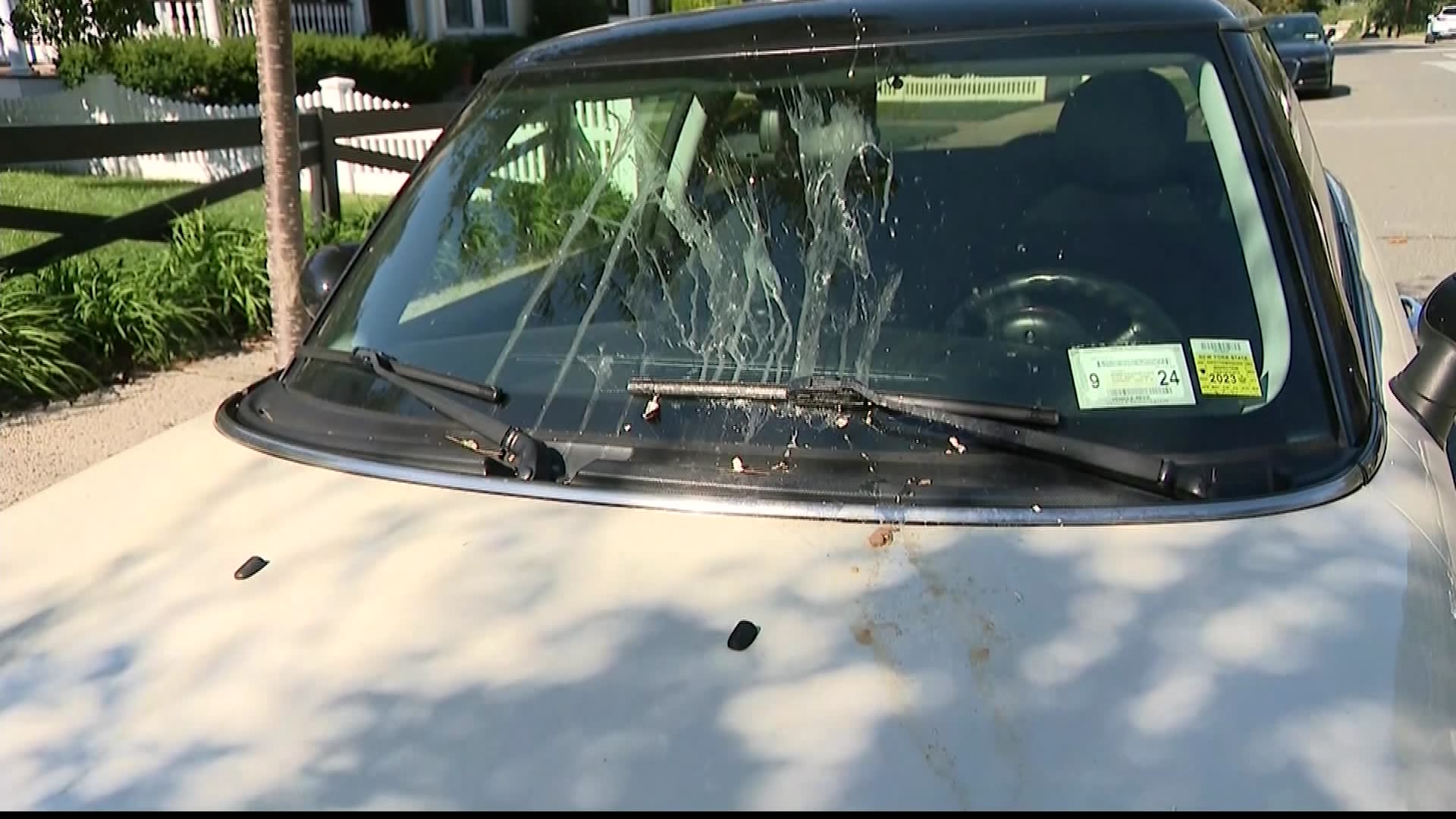 Police: Several parked cars egged in Oyster Bay