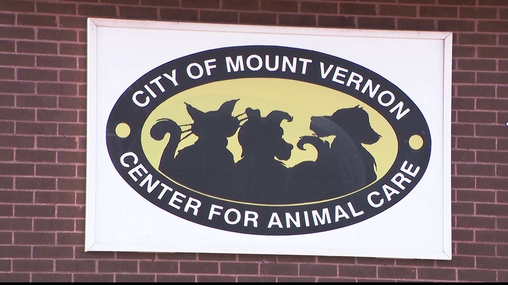 Mount Vernon Animal Shelter adopting out animals by appointment only ahead of closure