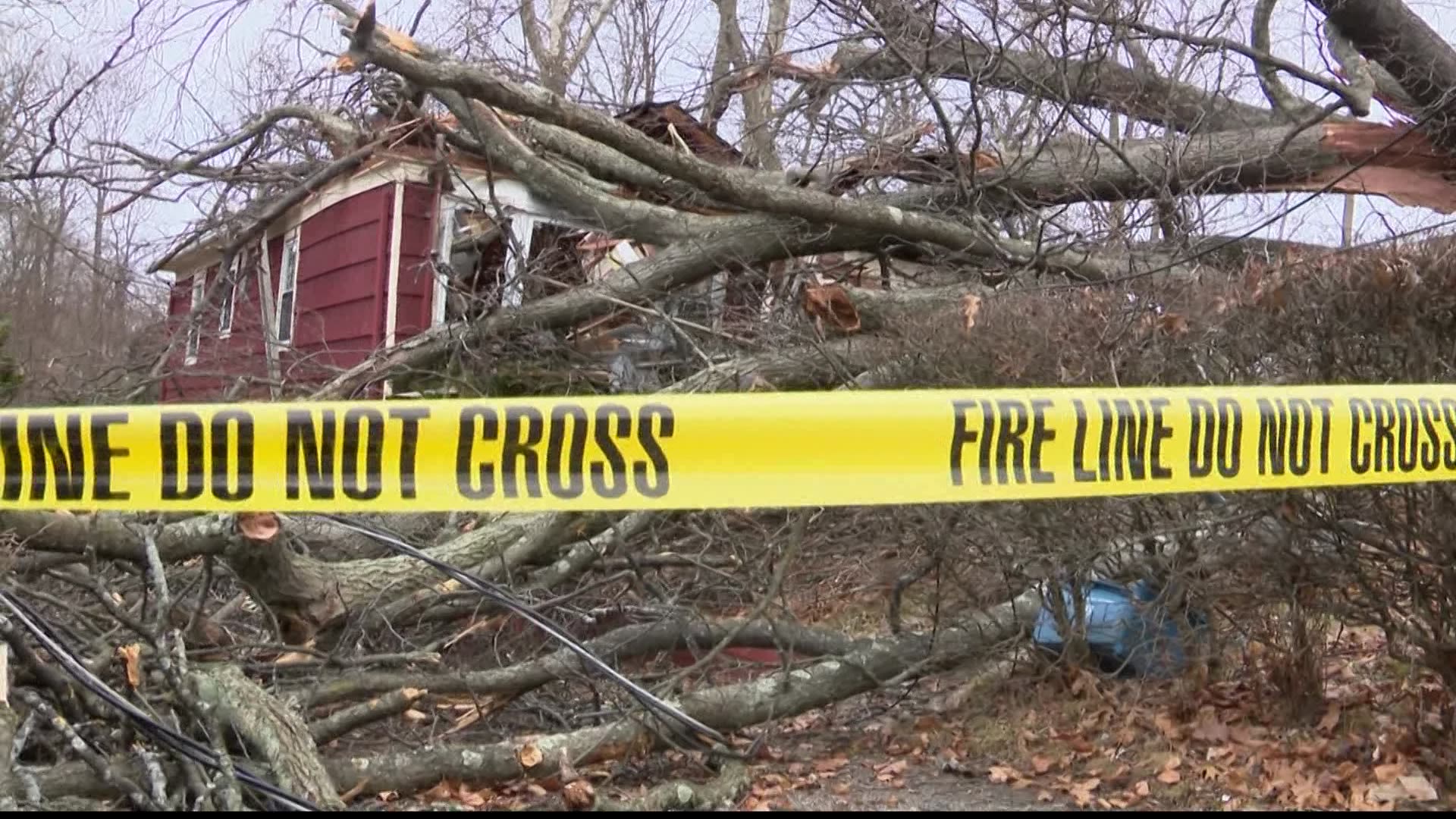 Fallen tree crushes home in Ossining, sleeping couple unharmed