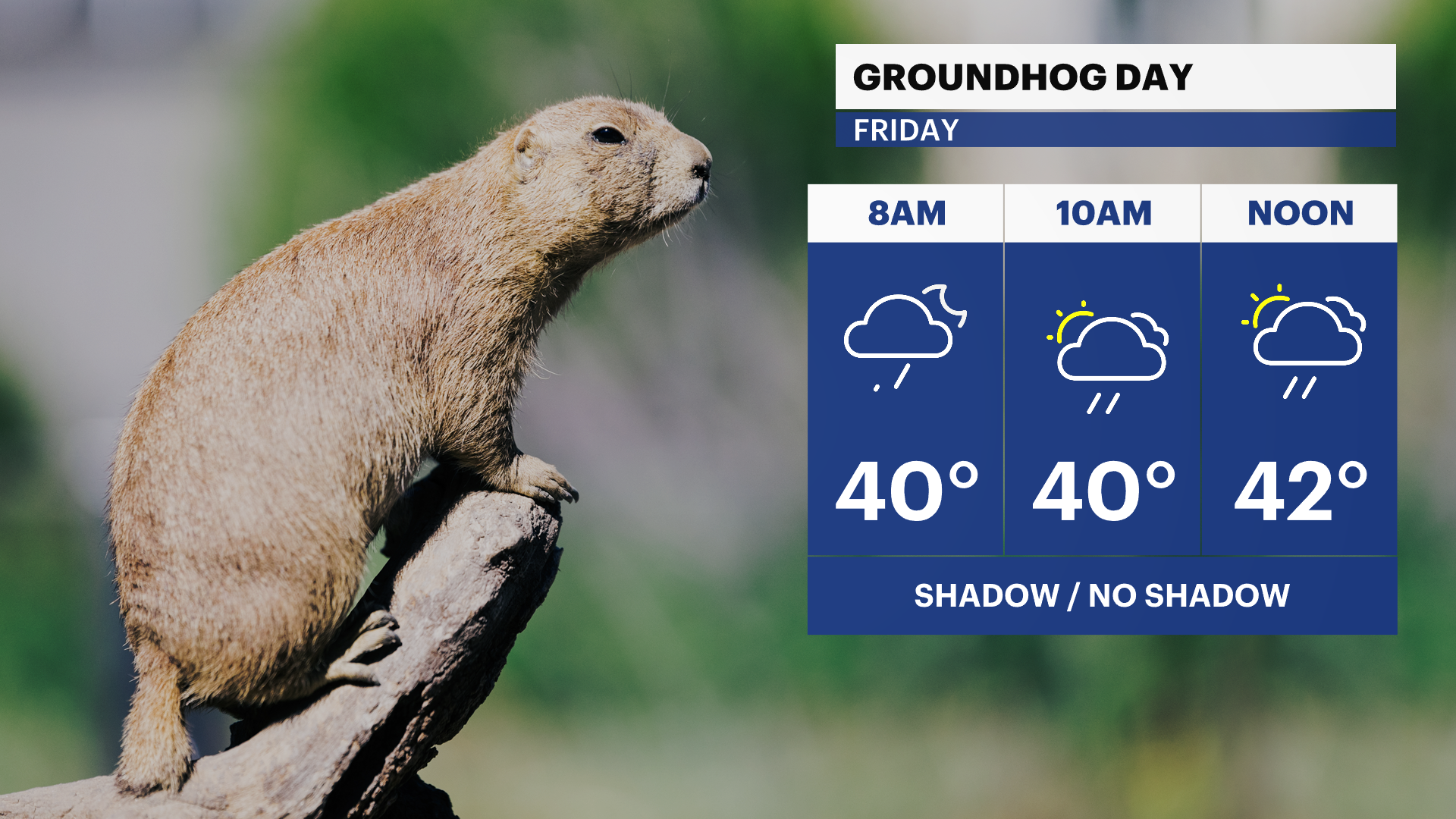 Overnight showers expected ahead of a cloudy and chilly Friday