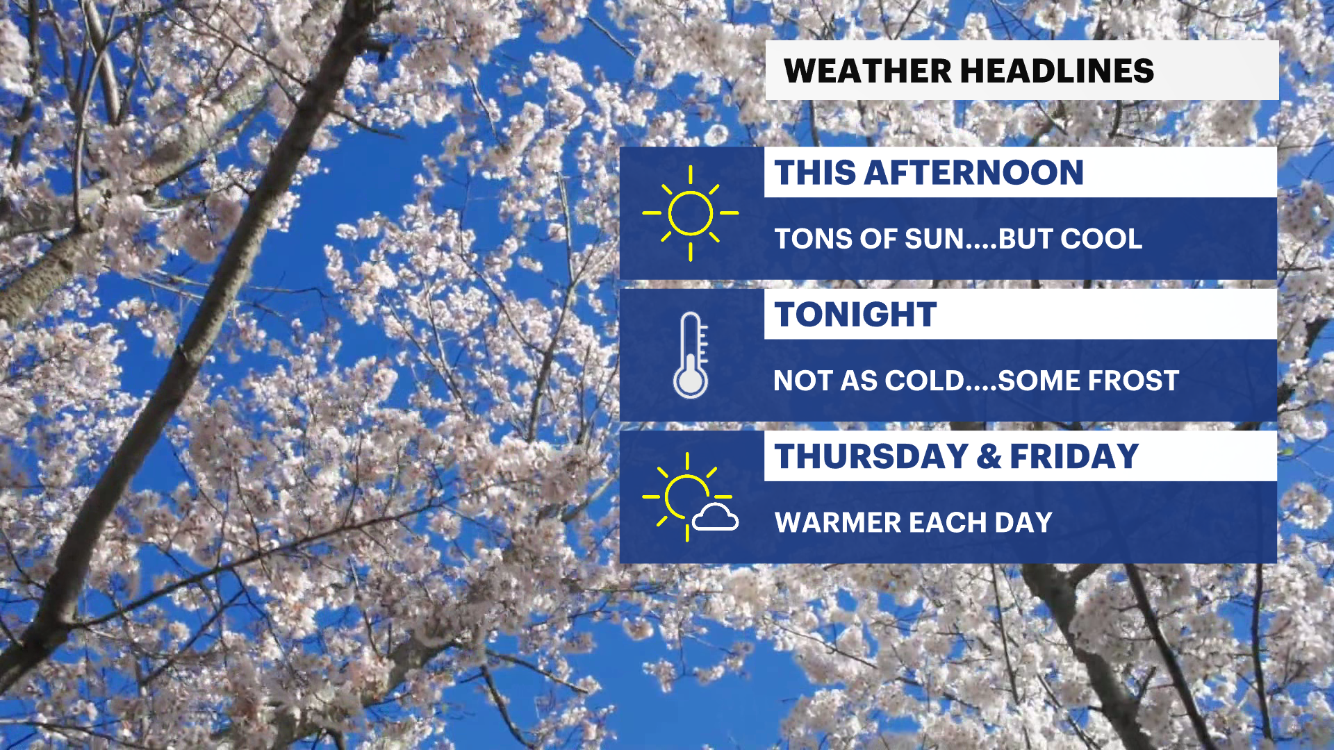 CX_Headlines_4 (7).png