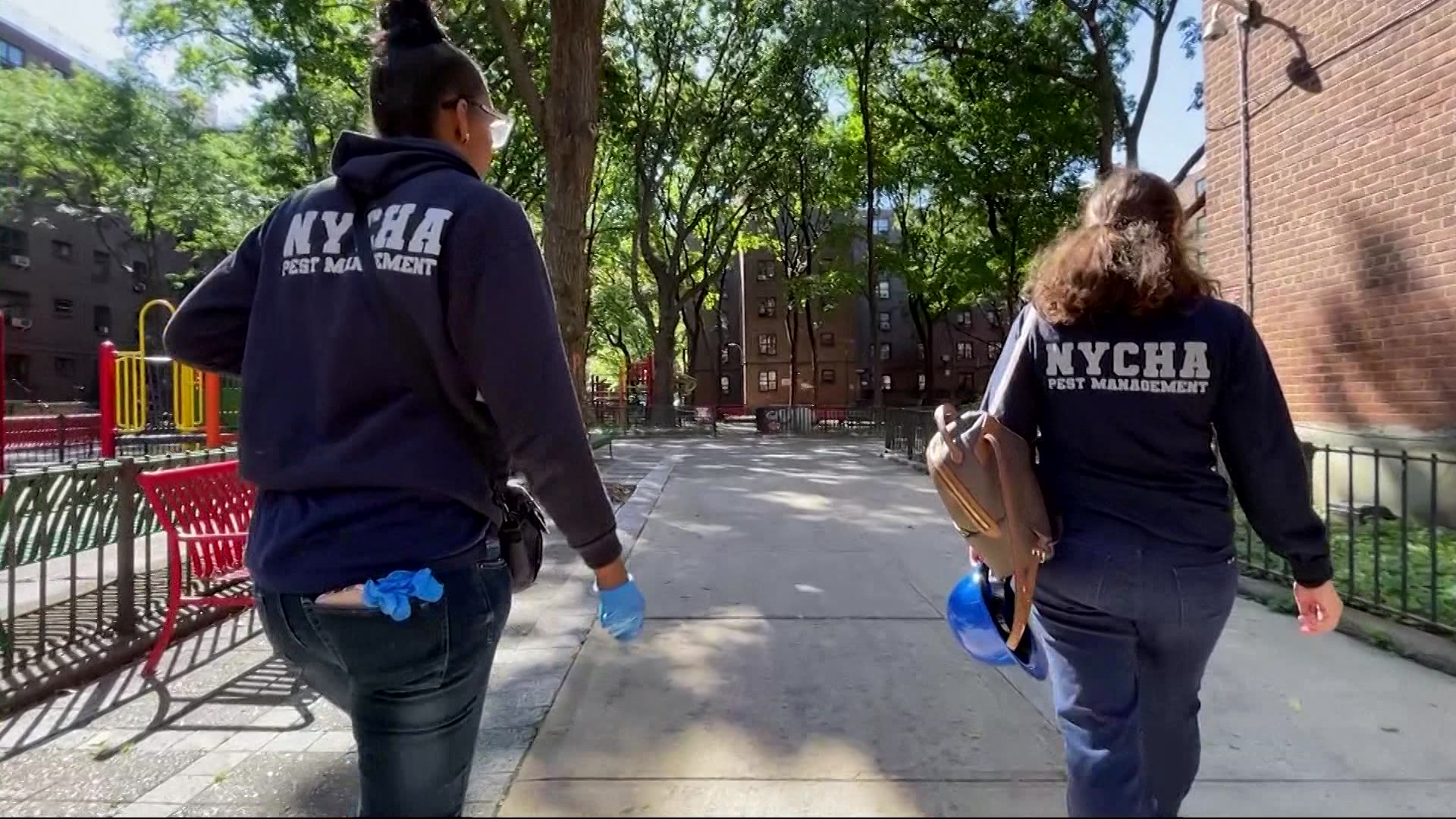 911ratweekc_2024-09-11-06-47-16