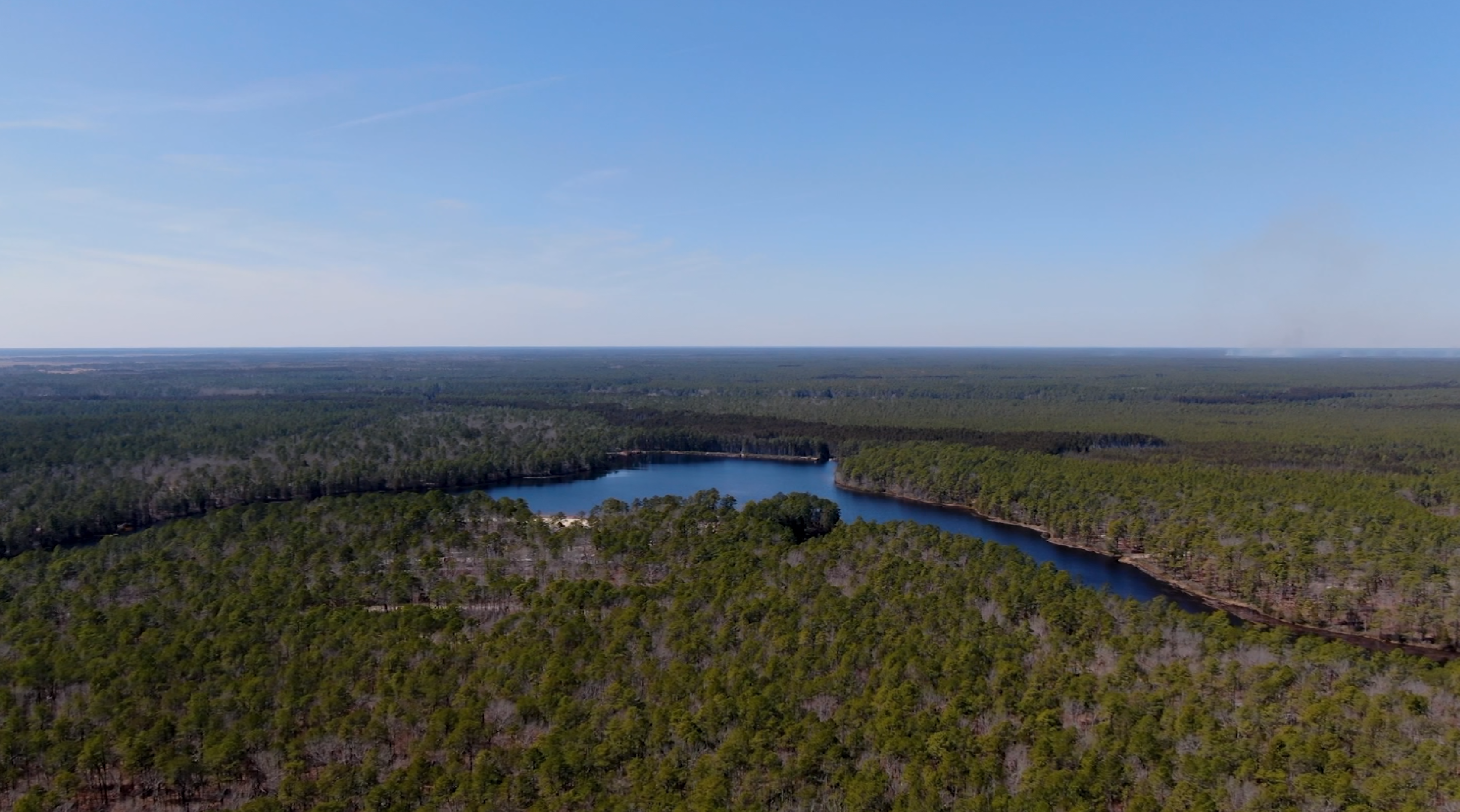 Bass River State Forest