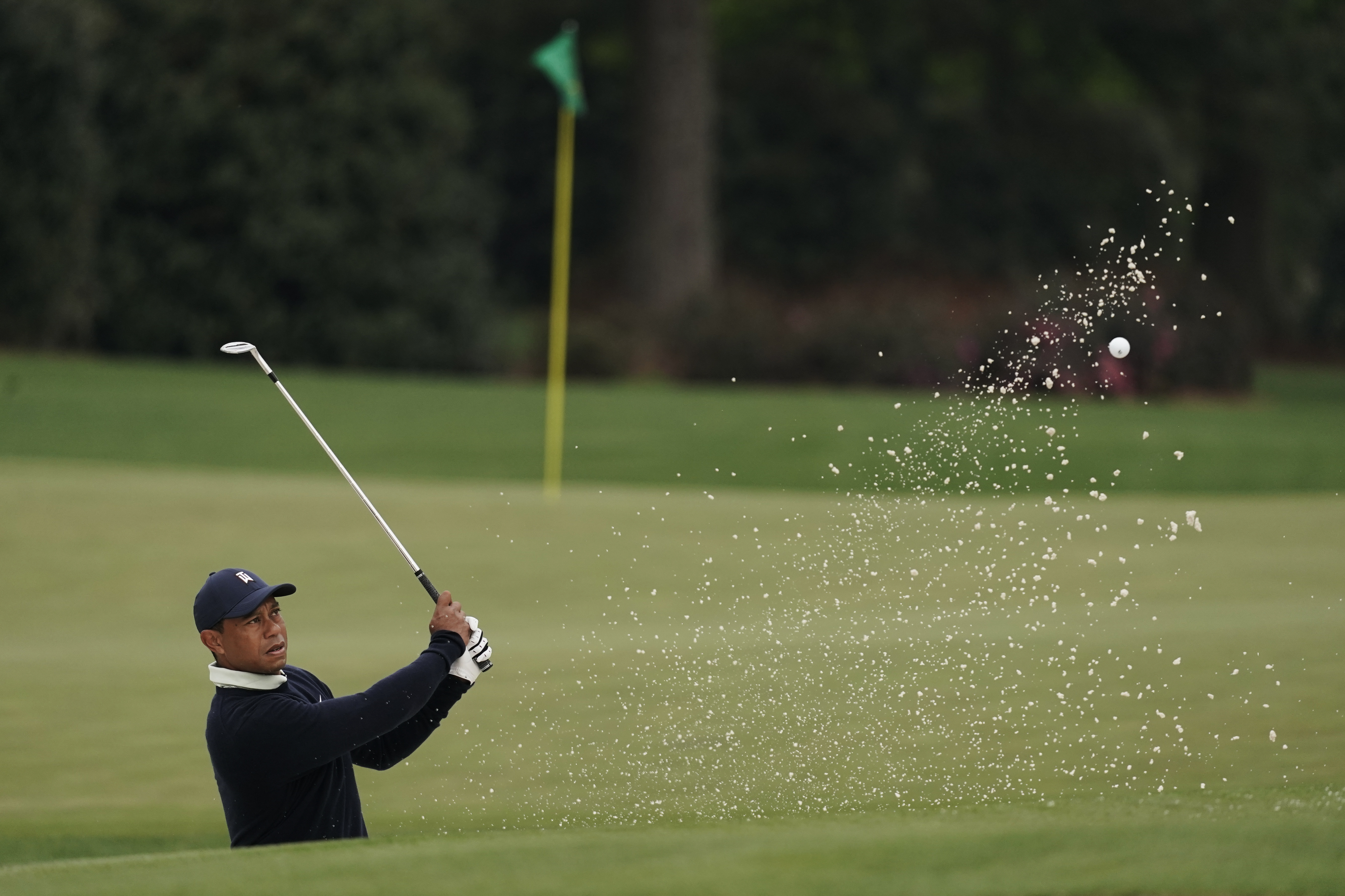 Article 289851 Hero Image