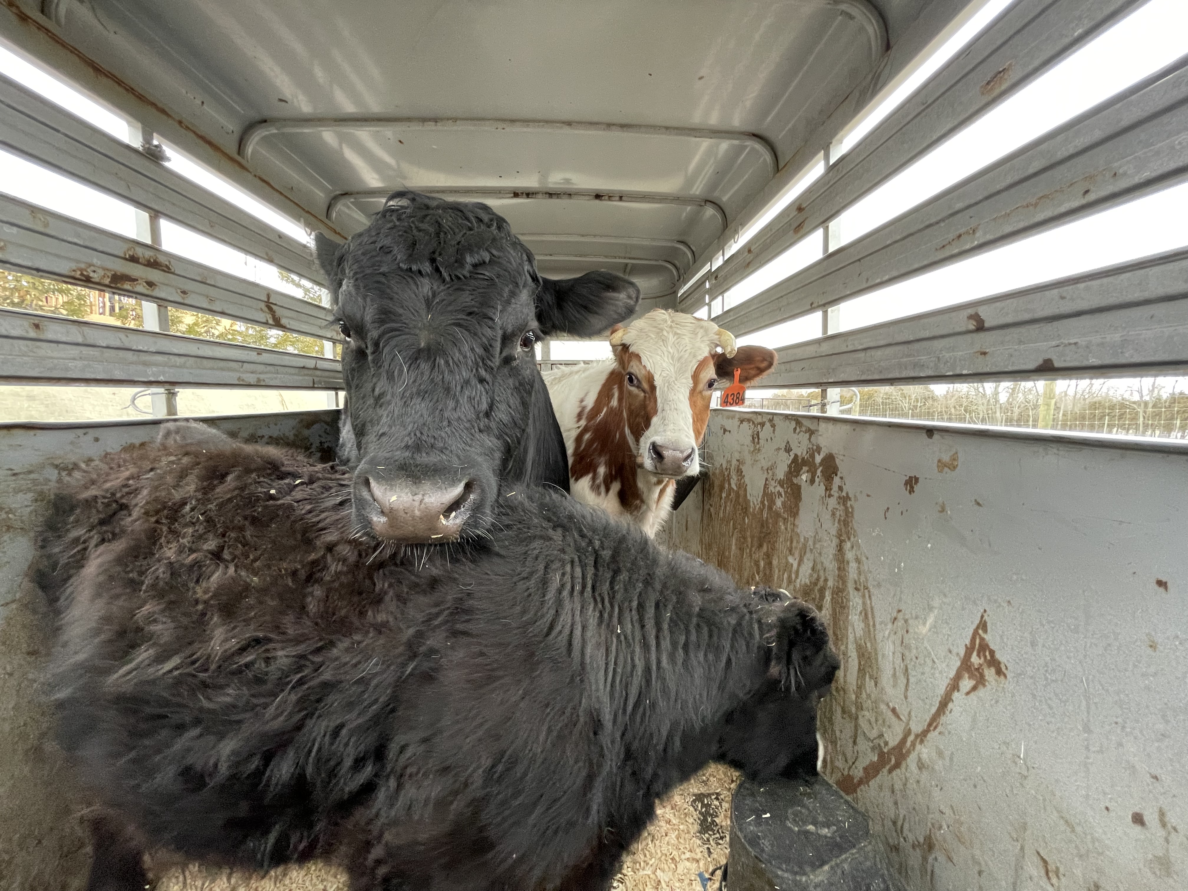 MicrosoftTeams-image (95).png