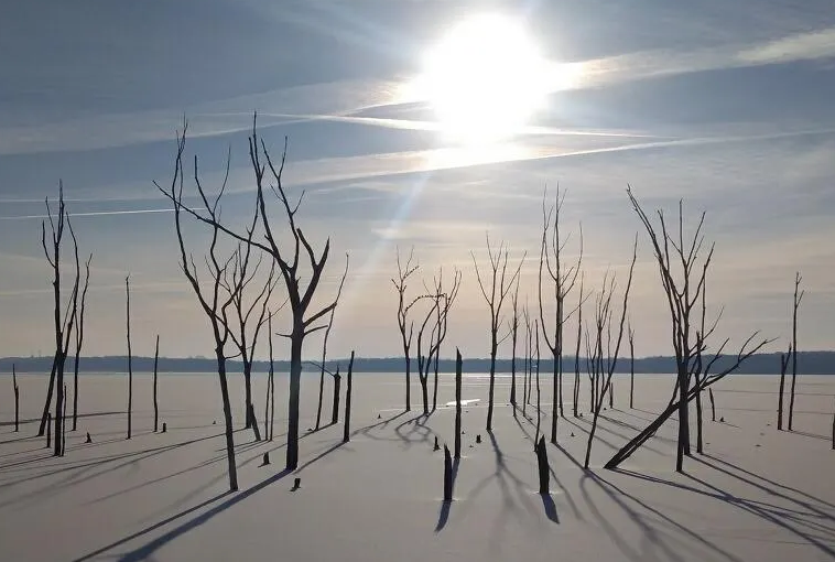 Article 29816 Thumbnail