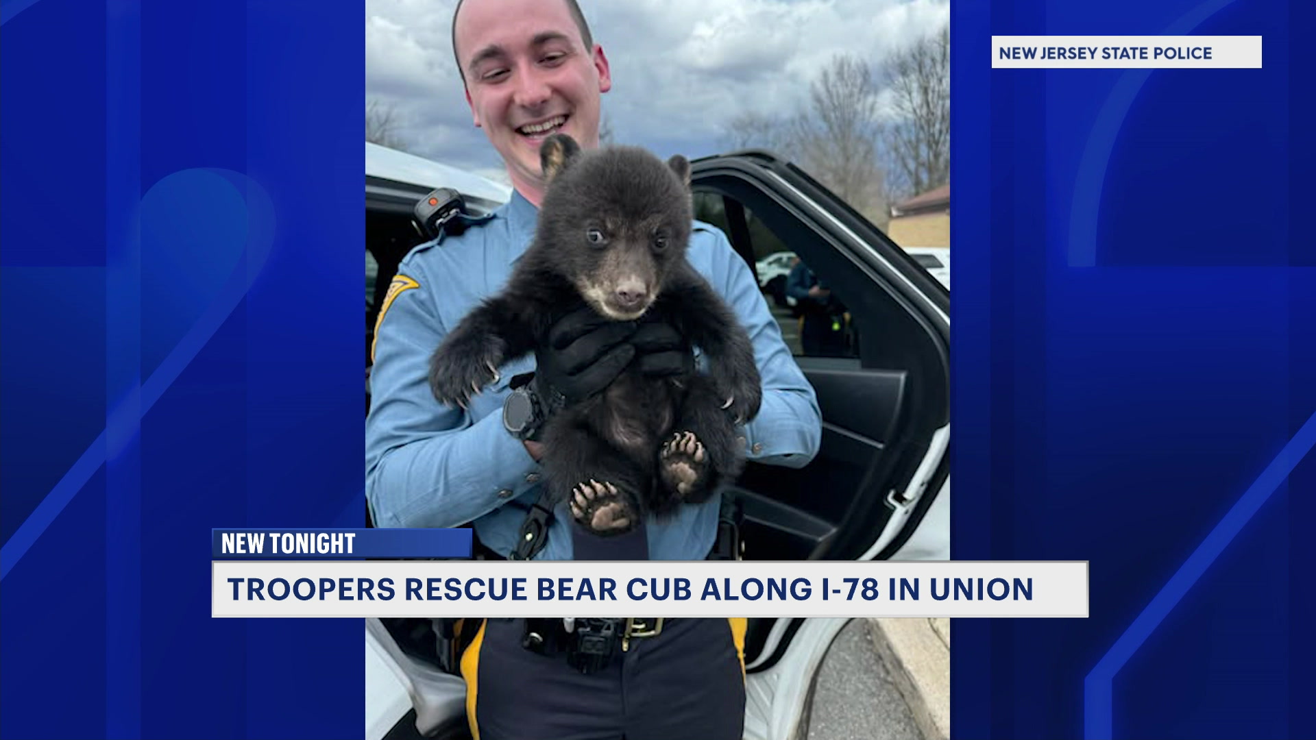 MTNJBearRescued0402_2026-04-02-23-01-47