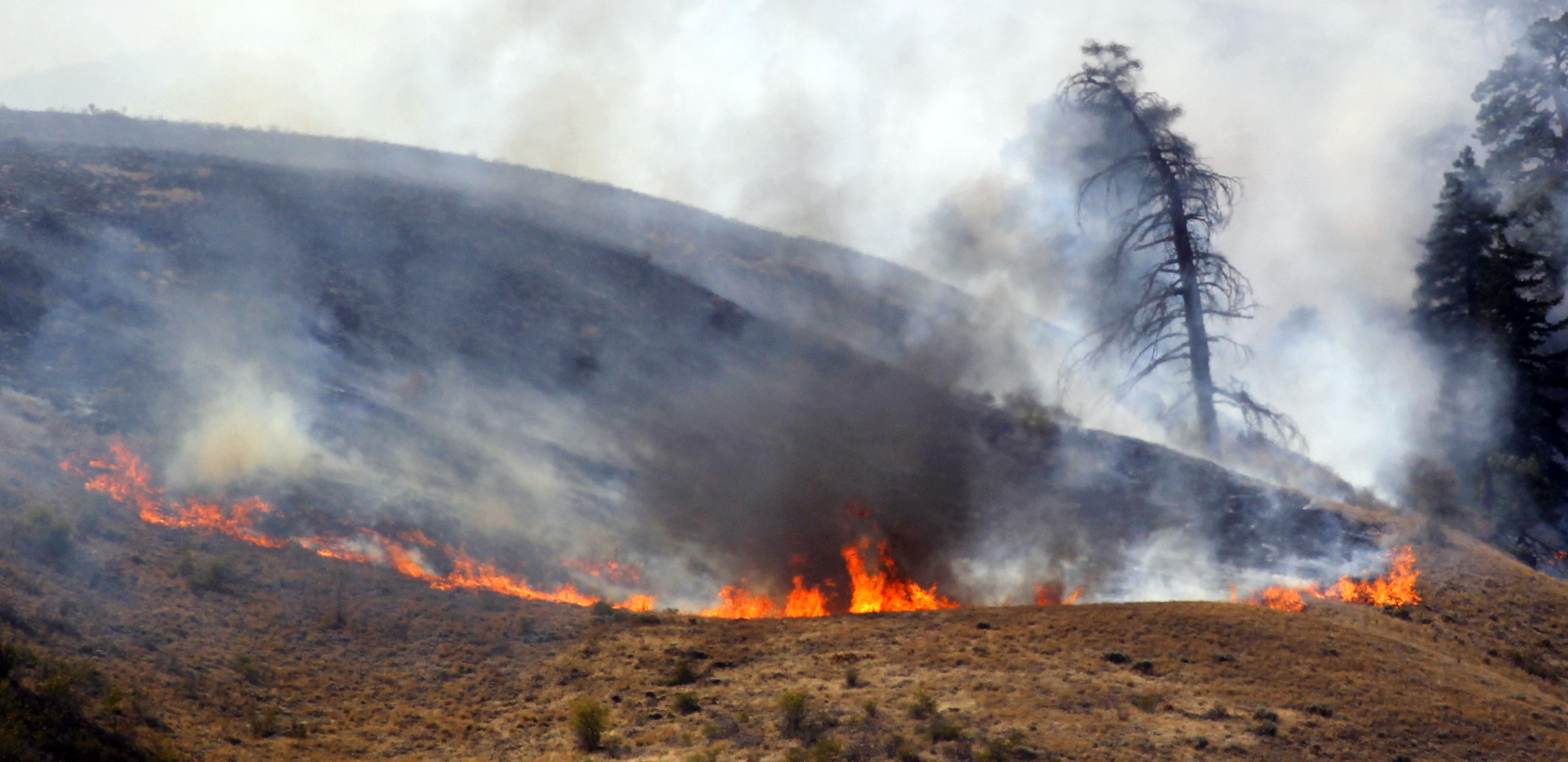 Guide: Tips to prevent fires during red flag warning