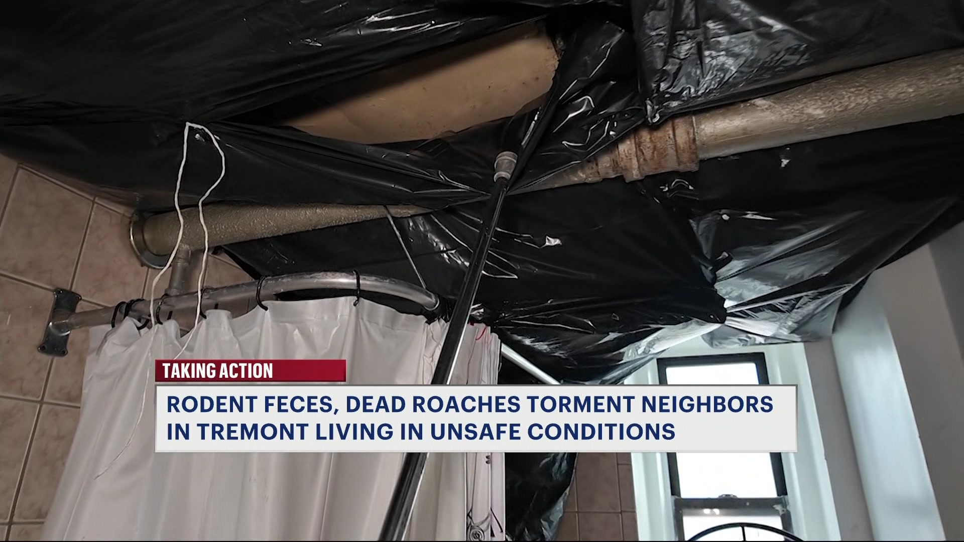 ratsroachesBD_2026-03-13-22-19-52